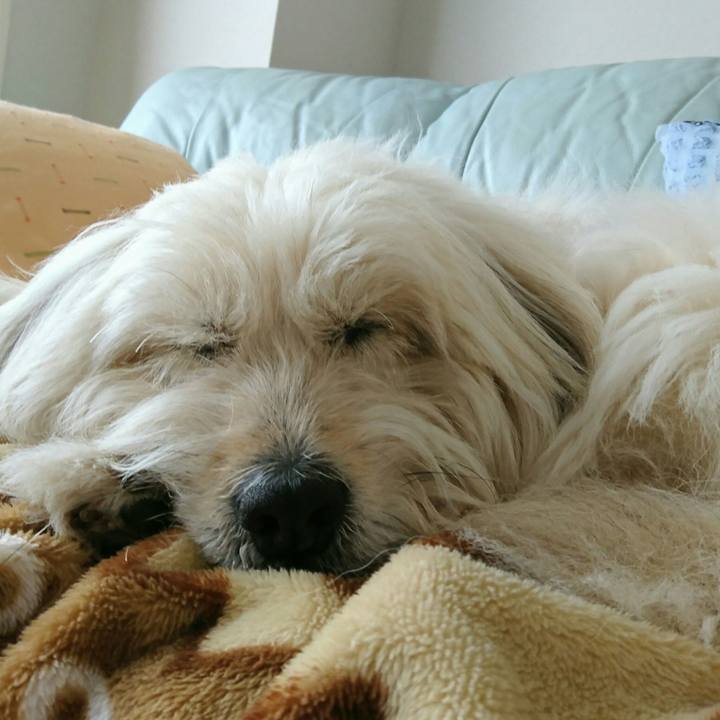 96d87ceb f0a9 47ae b41b afebb61ff206