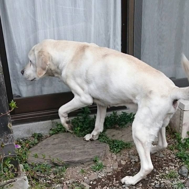 96d8bc09 4d40 4431 a204 b18a36a22bc5