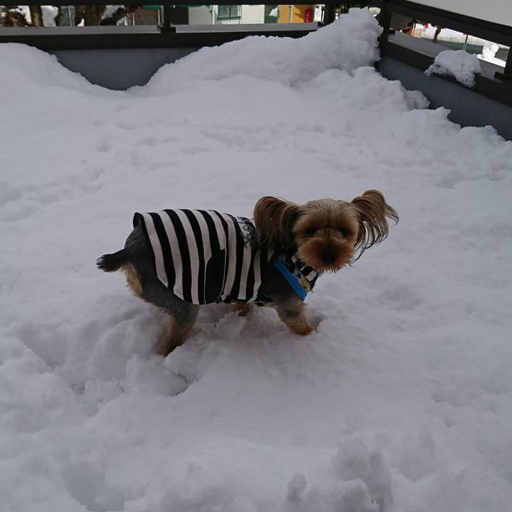 96d8e6af d32b 499f bcba dae0b9b1e412