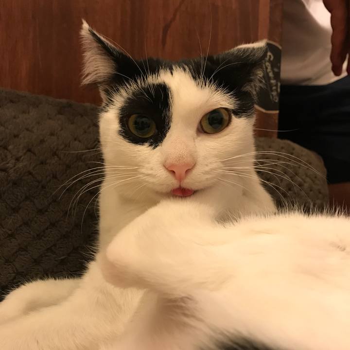 96d940bd bdb7 4e0d 8803 07b00e8d6c00