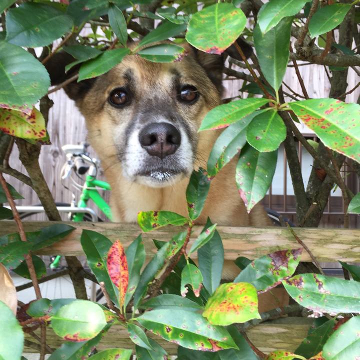 96d96e1c 6e01 4826 a68a c8dde6e4f5c2