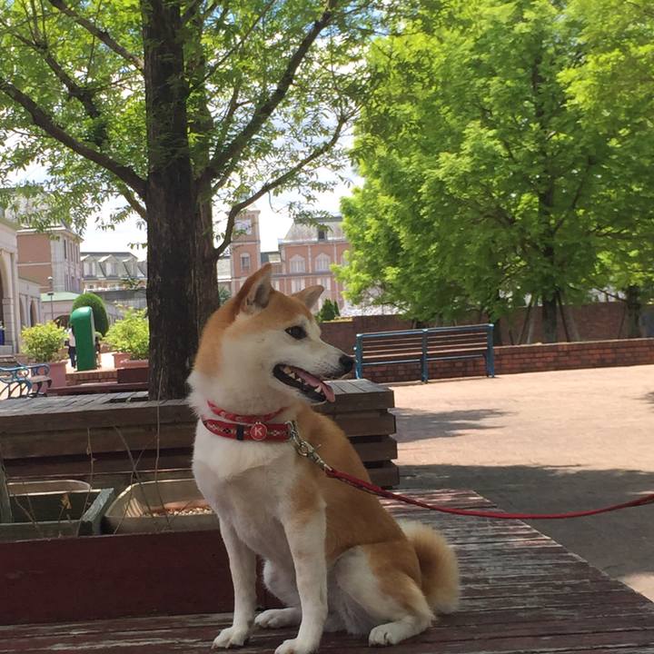 96da97e5 b846 4541 a7da 4729f6113290