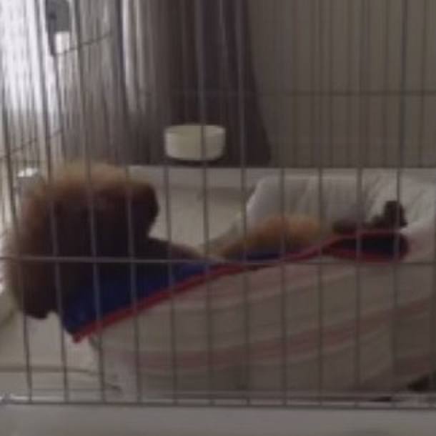 96db4deb 27ec 44c0 8c0a 303ae1197fc1