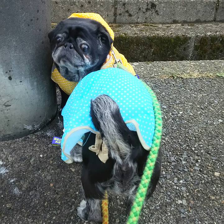 96dc0bc7 ce19 4e36 9587 6f761658495e