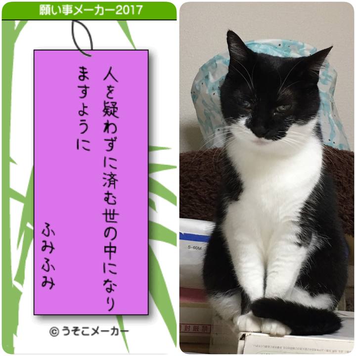 96dd02b3 405f 44e7 91b3 9097b298036d