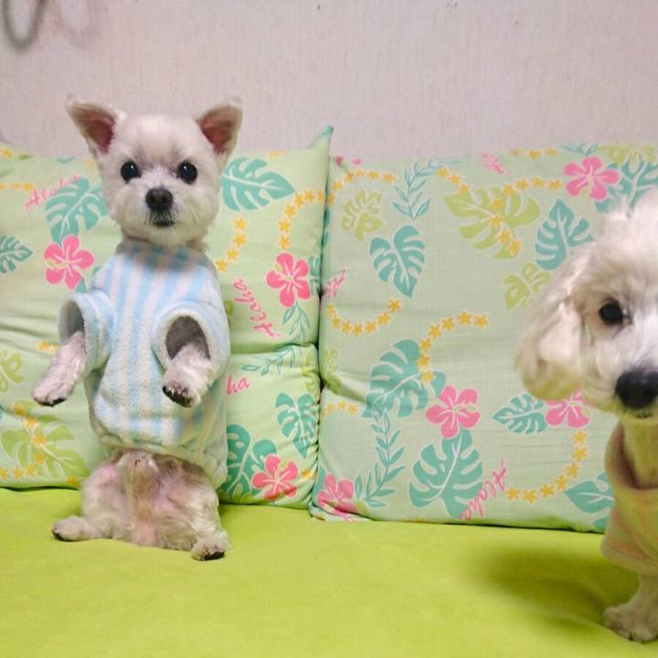 96dd3035 21af 416f b831 b191668dbda5