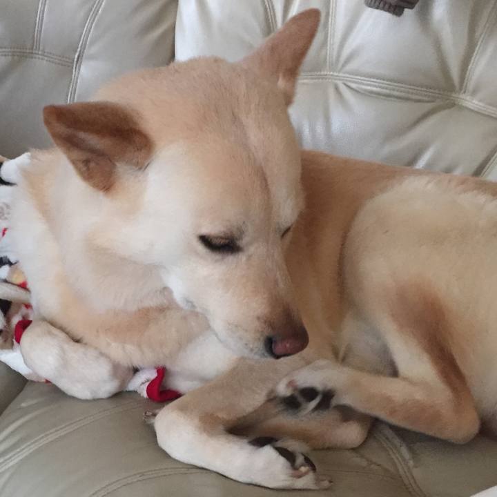 96dd58b6 3067 416b b10f 437e4b42d1fb