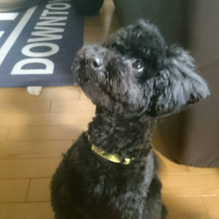 96de7160 d52a 4acf bce7 c8eb39756ad7