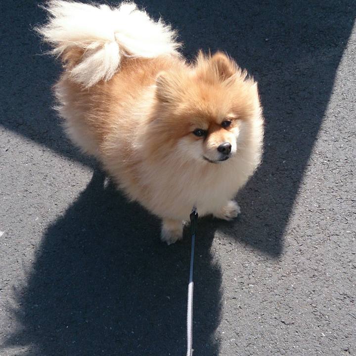 96df11d5 761b 4909 8c77 72756f3d957f