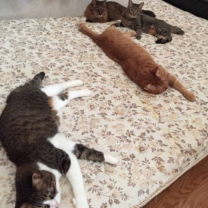 96df46c9 70fc 4e2d b2bc 9feb58549293