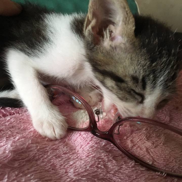 96df5e81 0006 4a8b 9b03 3eb6d7c7f786