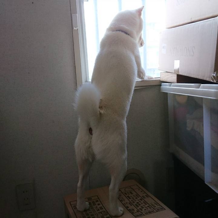 96e02c8c bd79 412e a354 ea5fc8ec3900