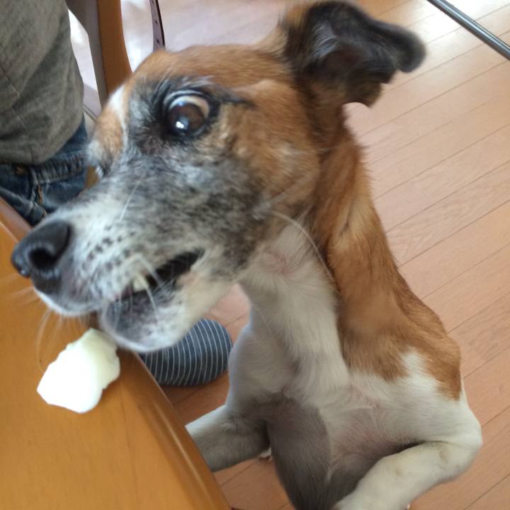 96e0330f 6f77 4f3d 887d a7de16510943