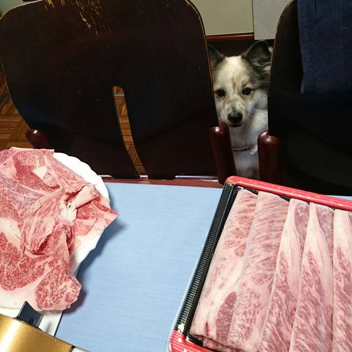 96e043e4 d643 4fdb 8412 028c620fb234