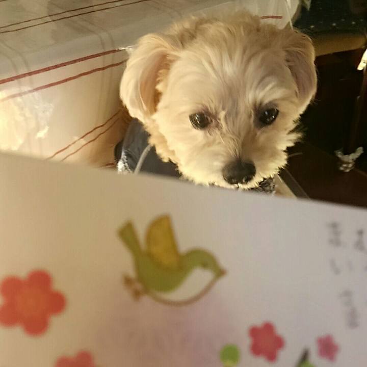 96e08ef5 7ce4 48a4 af20 c706258b3527