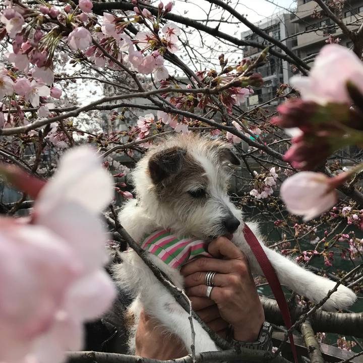 96e0979d 9f3f 4533 a766 0eed7d3ee3e4