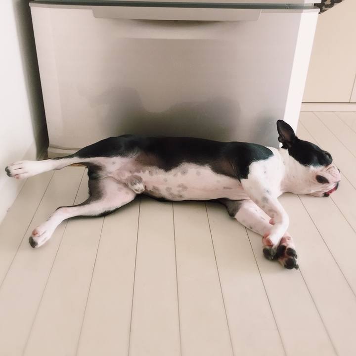 96e0fccb 42a4 48b3 83db fb5d8bc50f18