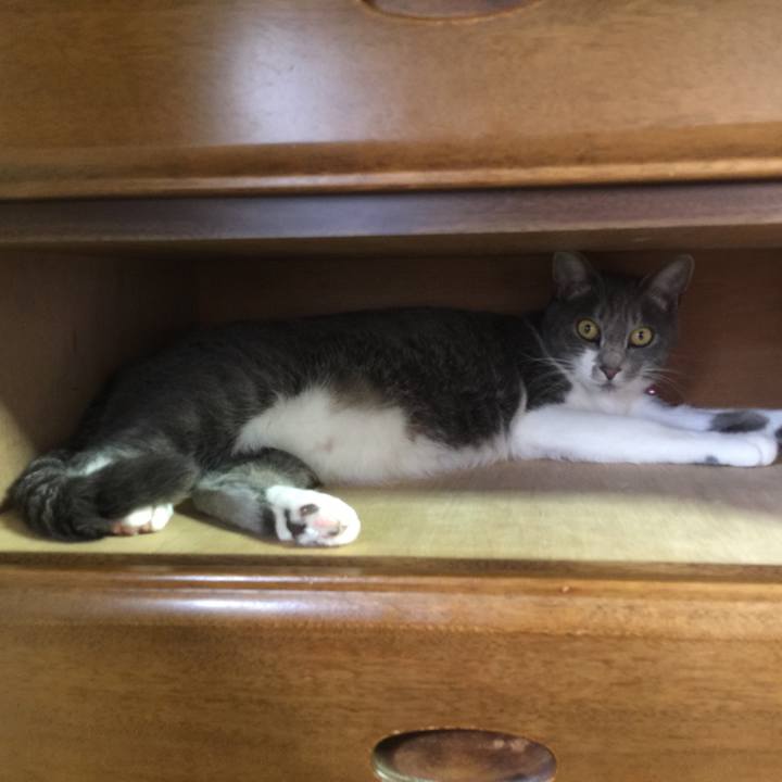 96e1033d ed78 40f4 81fe b002d7403bfb