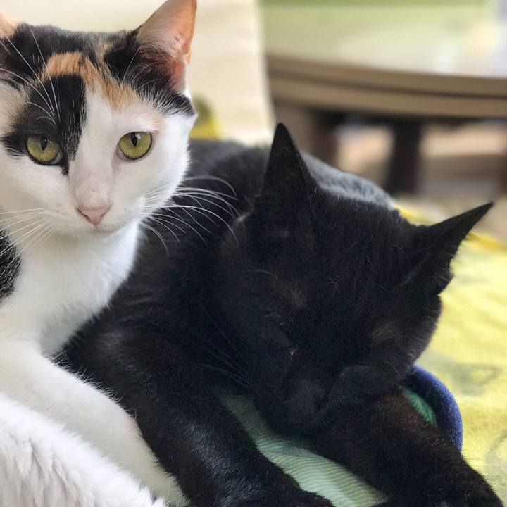 96e17650 0388 497a bae9 9509e36b76d2