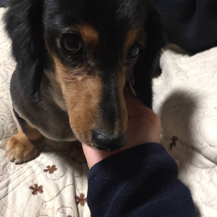 96e29fc2 8674 43fa b482 216ce1d94206