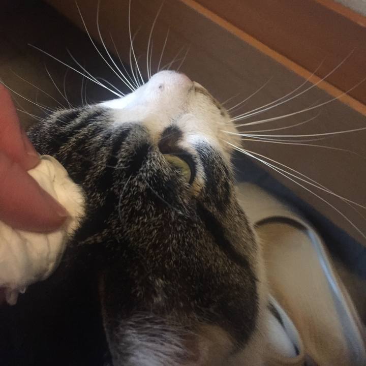 96e2c9b3 554a 476a afd8 dca9b35cd4c2