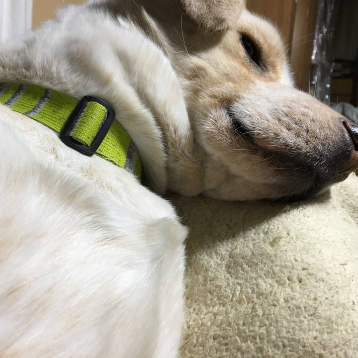 96e30168 72bc 4799 910f ea20b1ba59d4