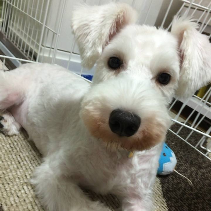 96e38c05 8e5d 49d8 b45d b08f76018262