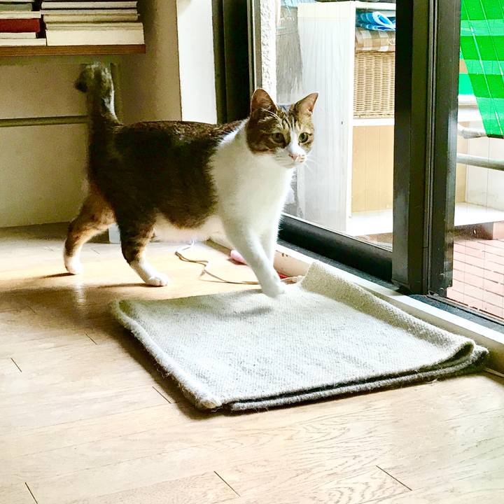 96e3ae11 b7b8 4812 9468 d7a98ec2fe2b