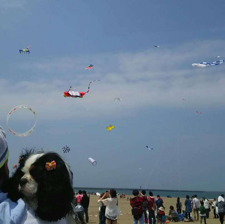 96e45354 4777 4a27 94d5 3cb0a4dcd6bb