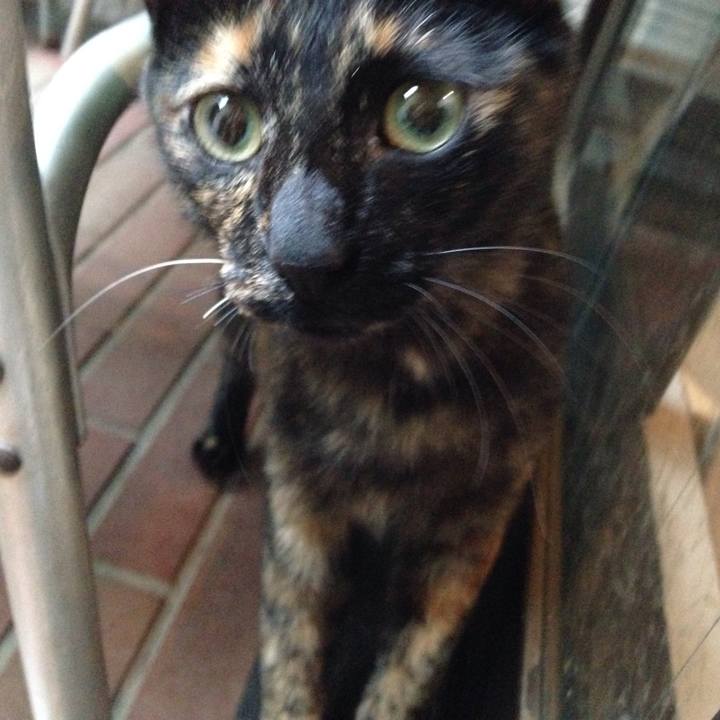 96e59b8f 1bb0 47ef 892b 0caf1a5f1585