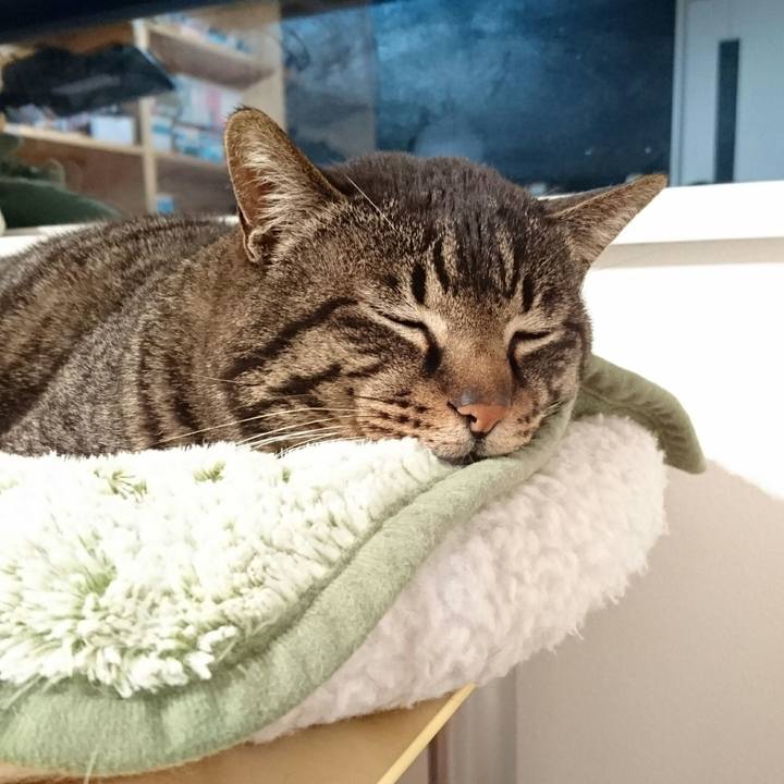 96e6b463 f30a 444b 9d7e e370abc487ca