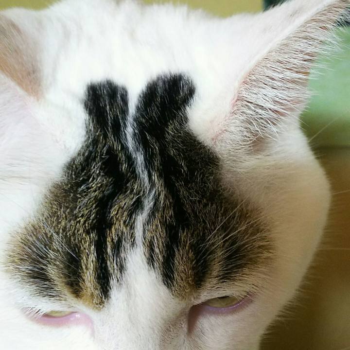 96e72b60 0b6d 4d82 93e8 11905b120ce7