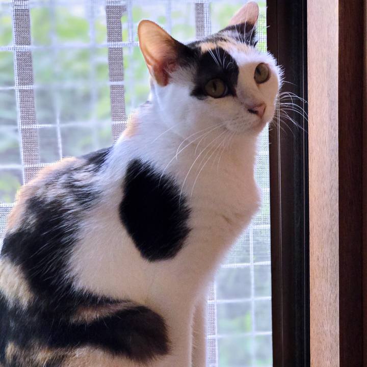 96e792af 62f3 4fda a89b 20c9ceaba6d9