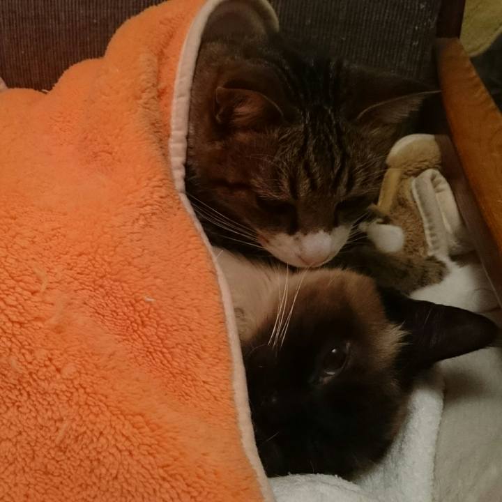 96e7de42 a6e9 40f8 998b 27d0b56487aa