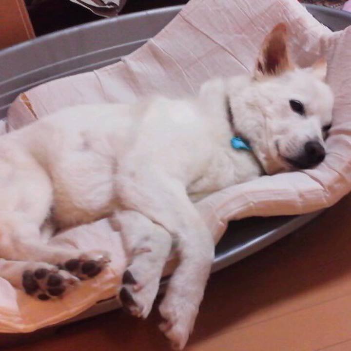 96e7ede6 5598 4ccd 88ed 40946ba48c5e