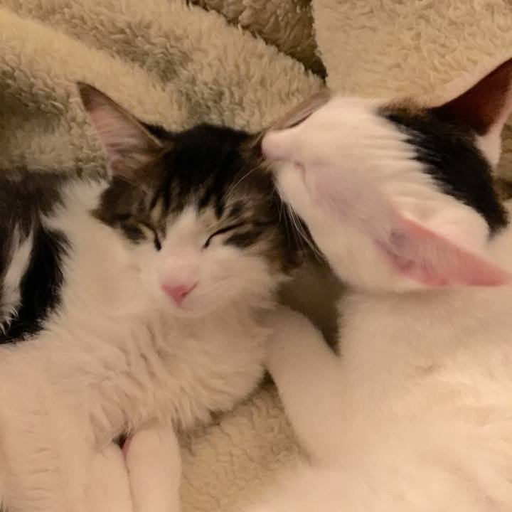 96e88047 2db0 49f6 b31a 388e8820a067