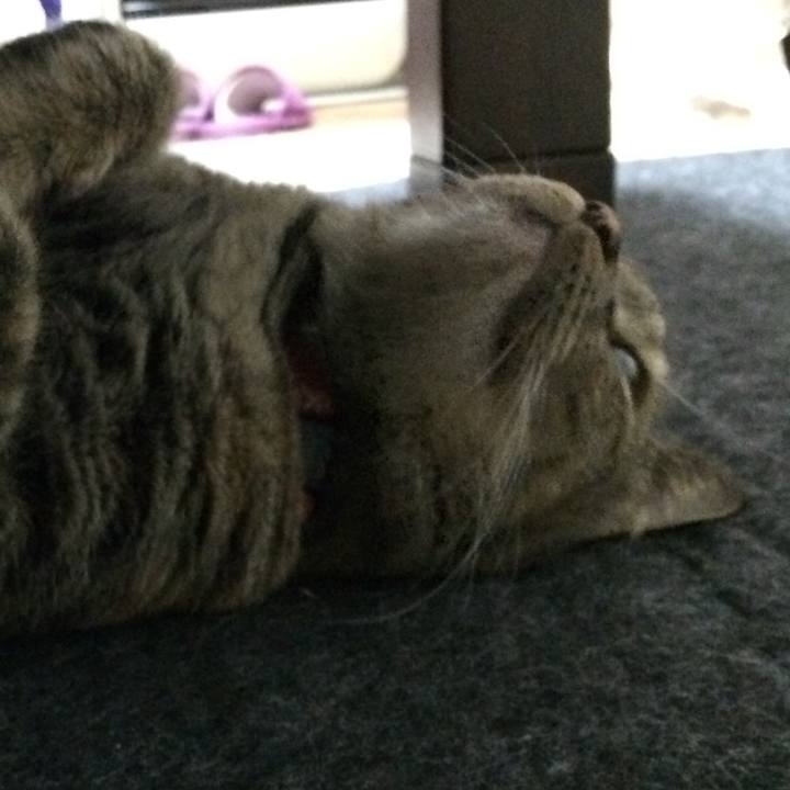 96e89167 111f 4069 a281 074866ab663c