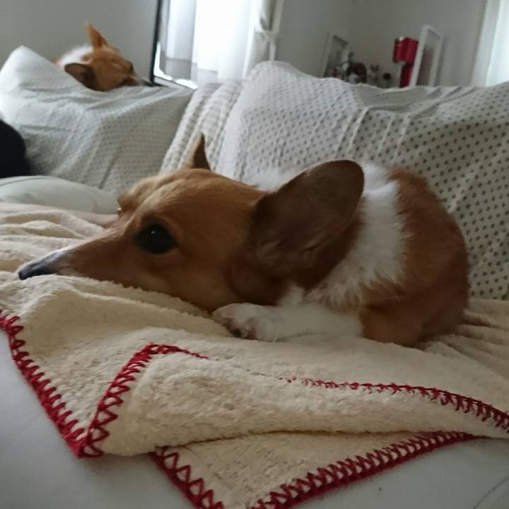 96e8c21f 18b5 45e1 898d 234674c79b23