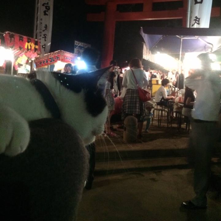 96e971b3 9cb7 48aa 873d 7ea8c449c086