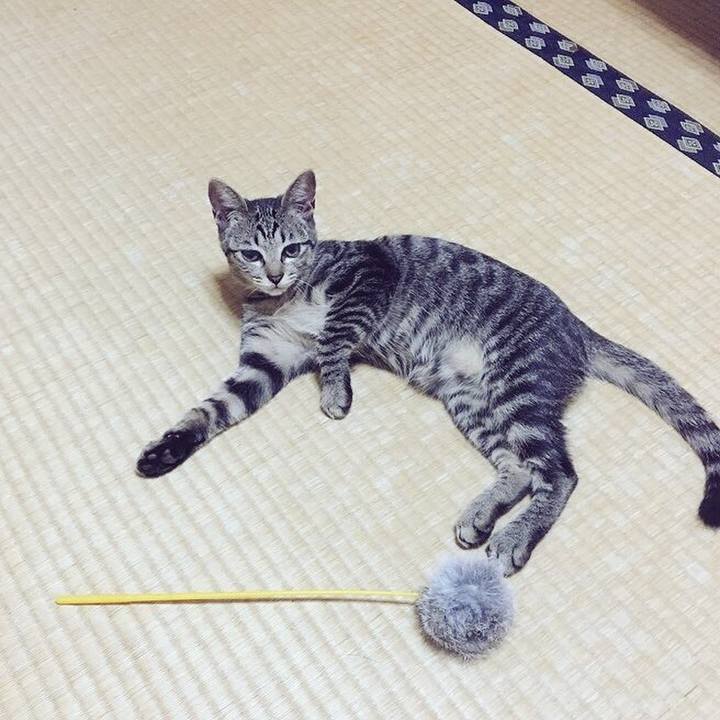 96e9a661 417c 466d b483 2cfb97481cc0