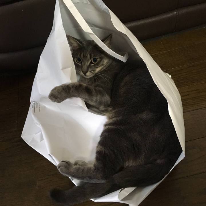 96e9d8a6 ca98 4068 9715 3999ecd96df7