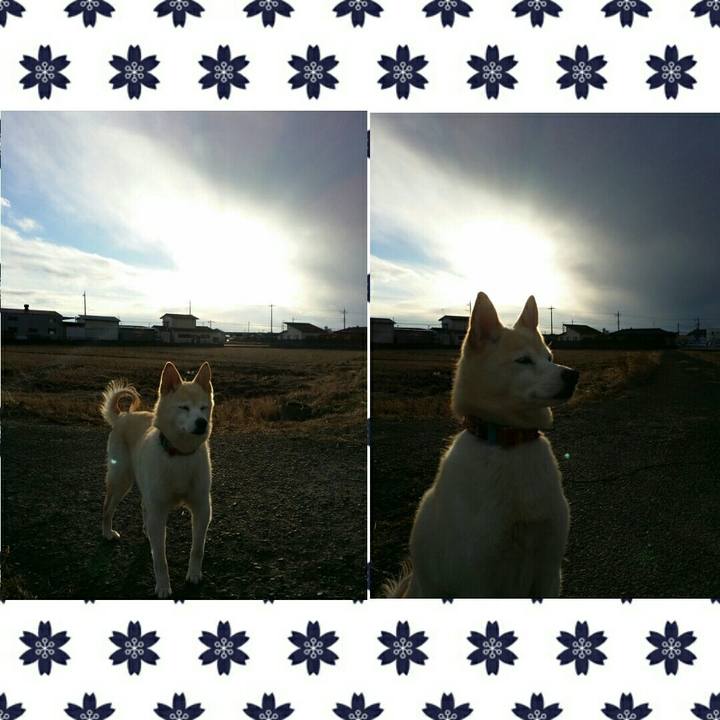 96ea094c 6a35 4761 a6ed 84789d28b38e