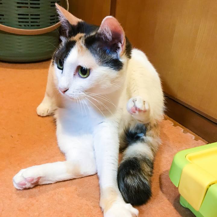 96ea2c1a 9248 4792 8aba baffd76133f1