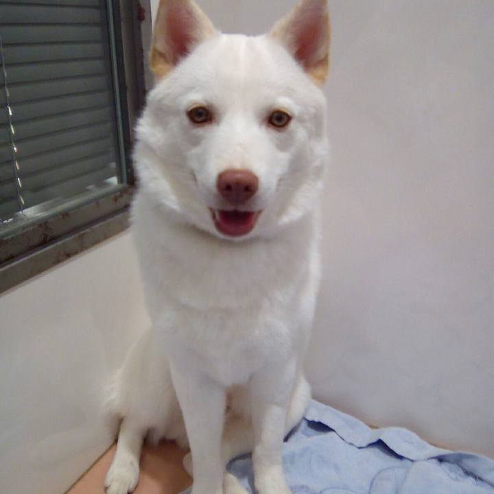 96ea4c38 ae1b 4ecd 983c 0e65bb4b7be9