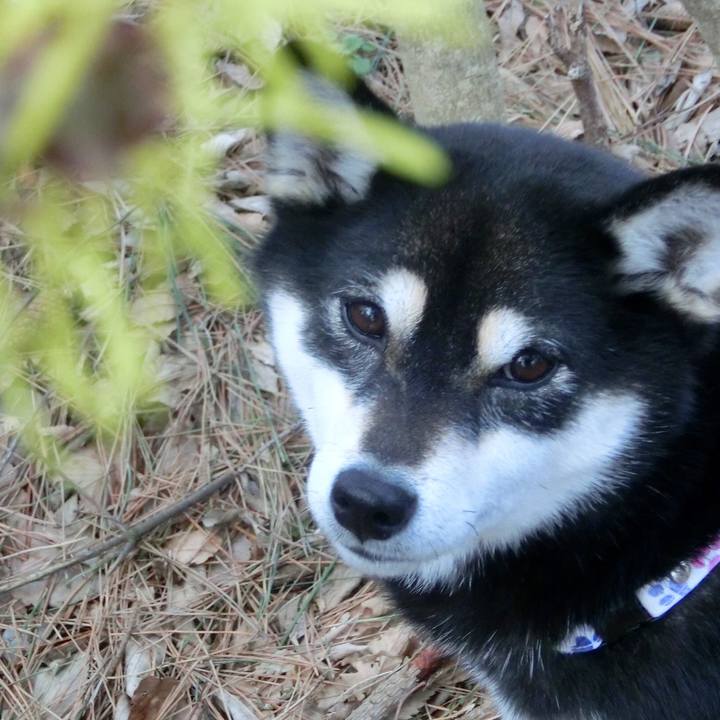 96eb3bc0 46e3 4cb4 9e02 98e733a003b1