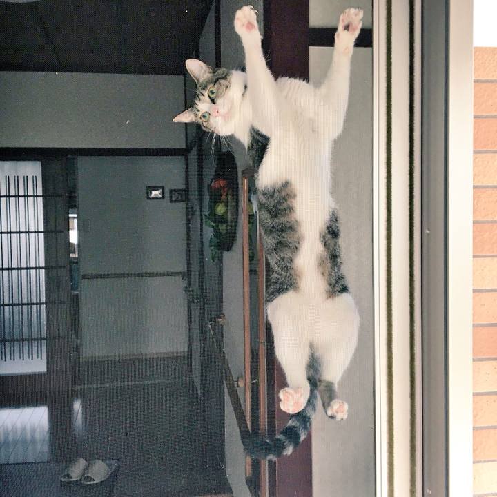 96eba826 82d9 4b84 bc7e 6a5148ed416f