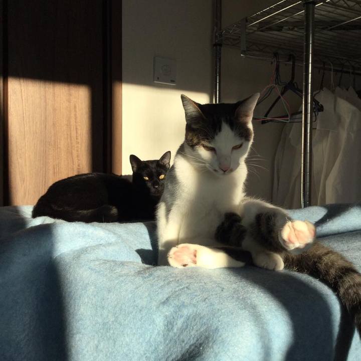 96ec3f0d b98f 4792 8514 cde9a7b82684