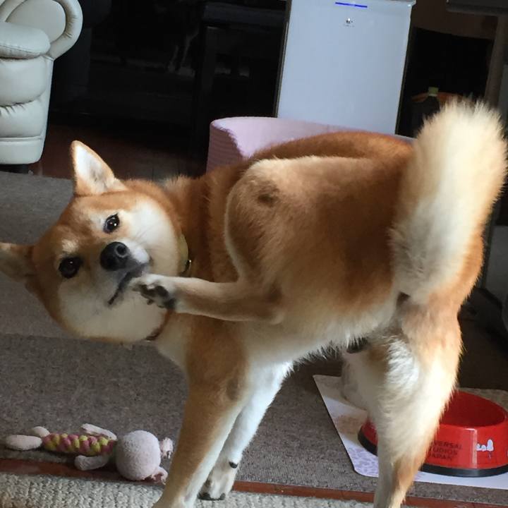 96ec725e 7549 4e15 b49c 31395a8a58c3