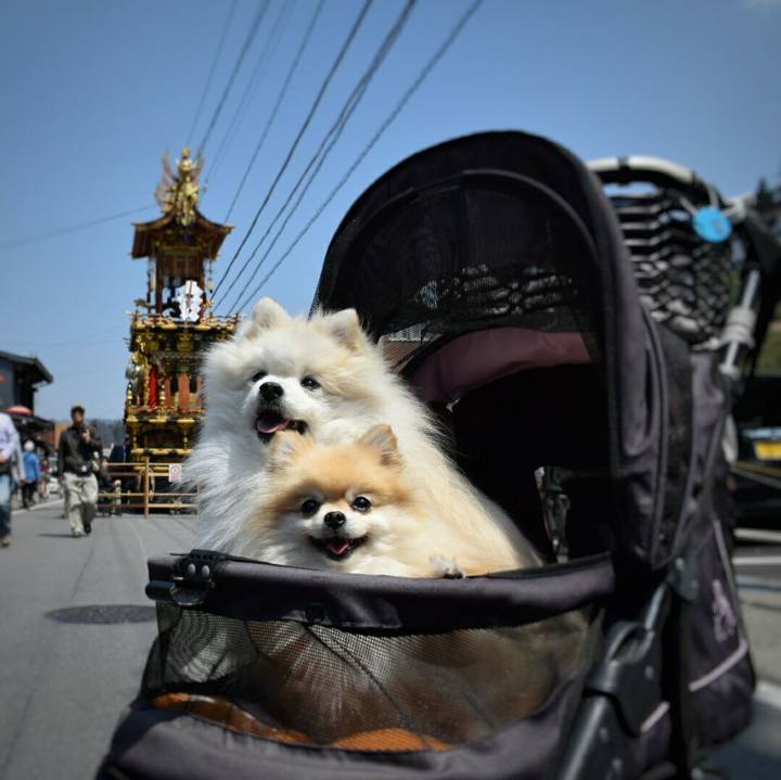 96ec7ef4 1431 4d4f 9251 cdccd7f6977a