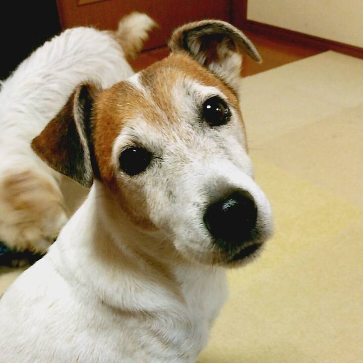 96ecb0b8 0e04 4dc7 a915 2e4f93ce86a7